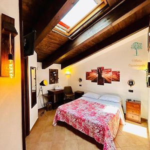 Habitación Estándar con Cama King
