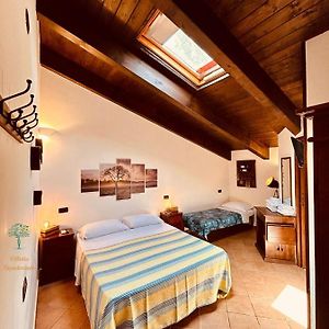 Habitación Básica con Cama King